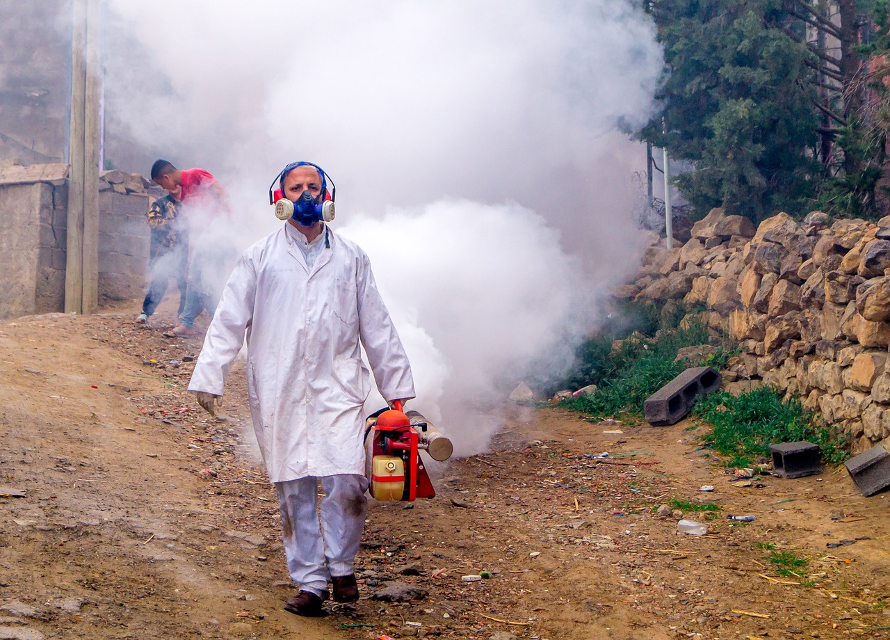 Efektywne Rozwiązania w Walce z Szkodnikami Domowymi