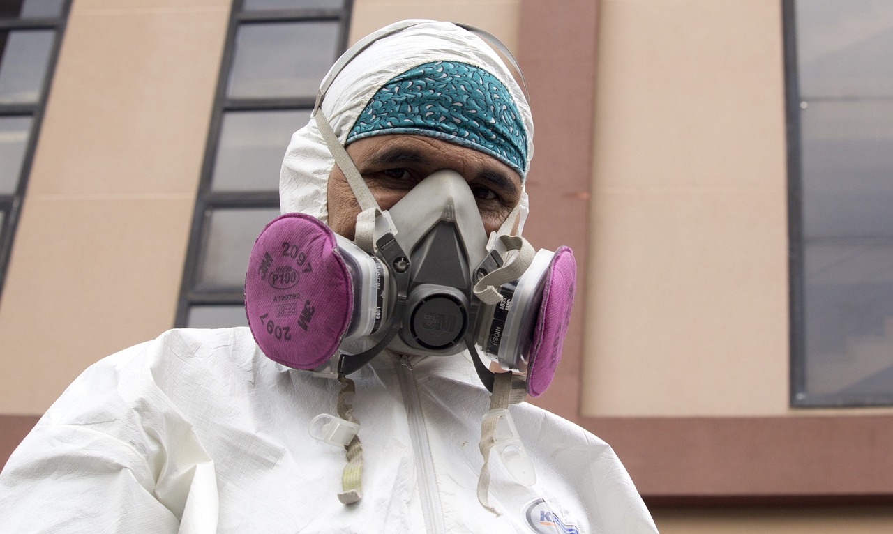 Skuteczne metody dezynsekcji – kompleksowe podejście do eliminacji szkodników