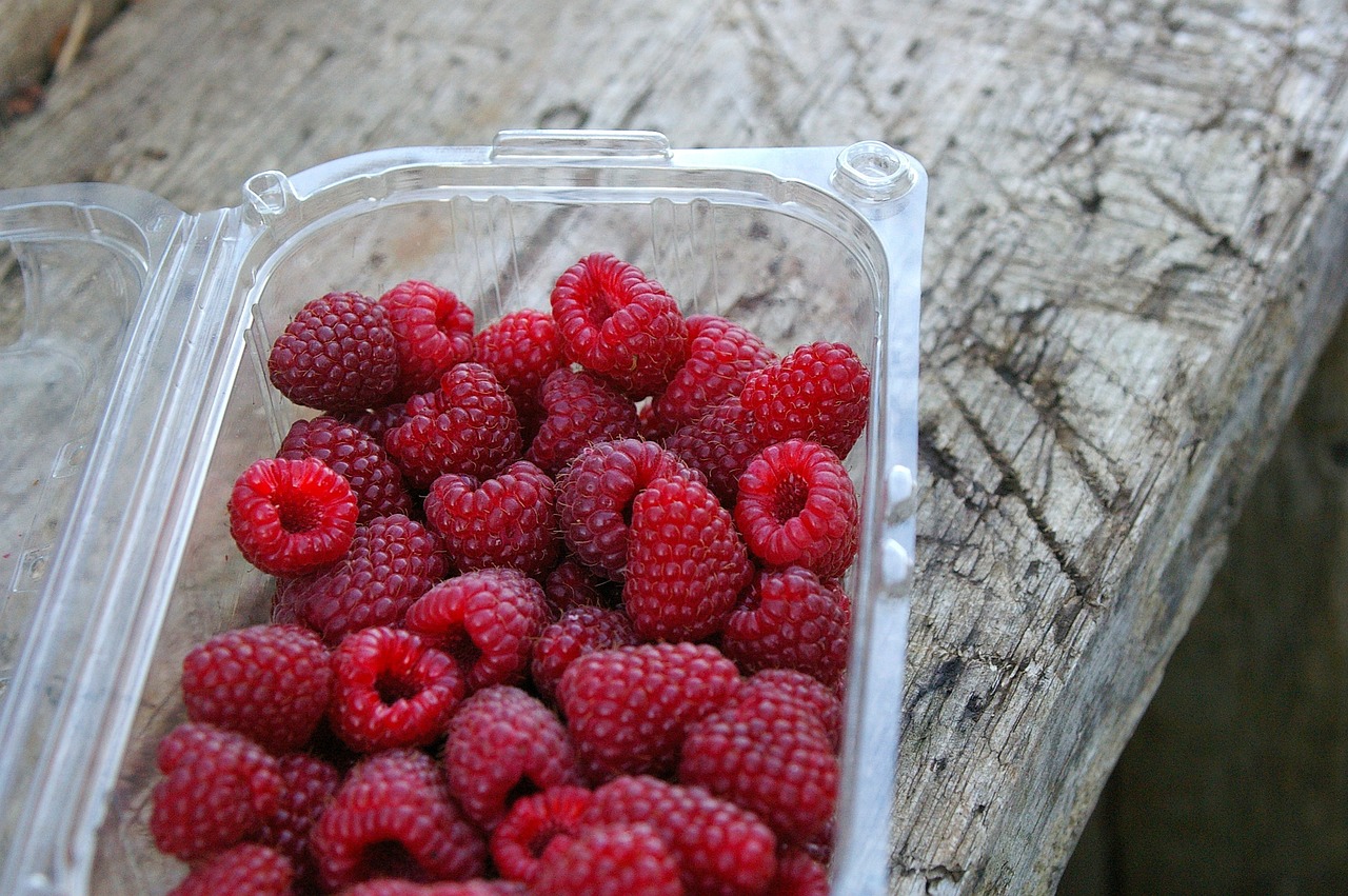 Nowoczesne podejście do produkcji opakowań z tworzyw sztucznych